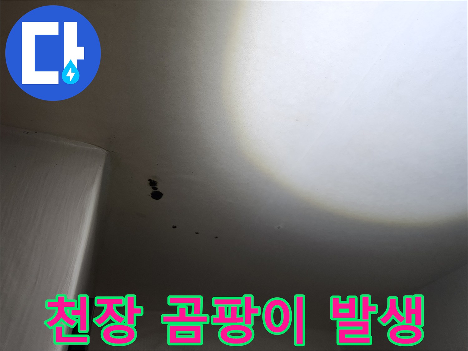 포천 구읍리 현장 상황-심하게 오염된 천장 마감재 부위