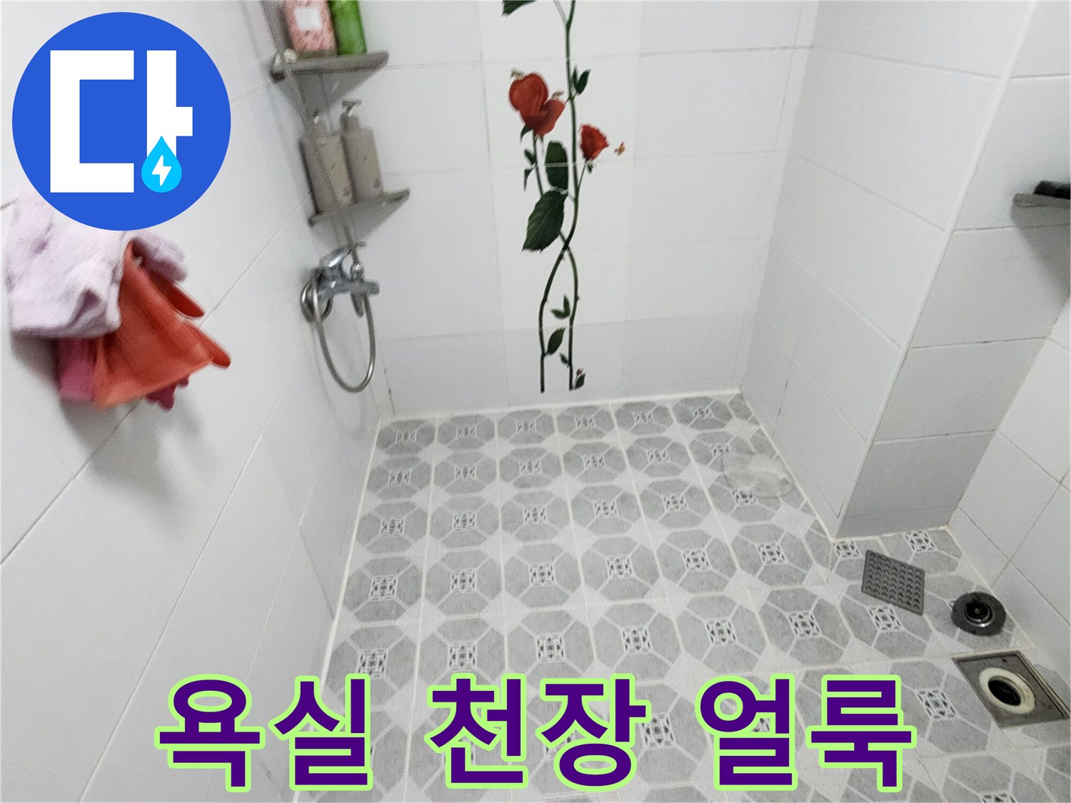 포천 구읍리 화장상실-천장 곰팡이 및 물 얼룩 상태