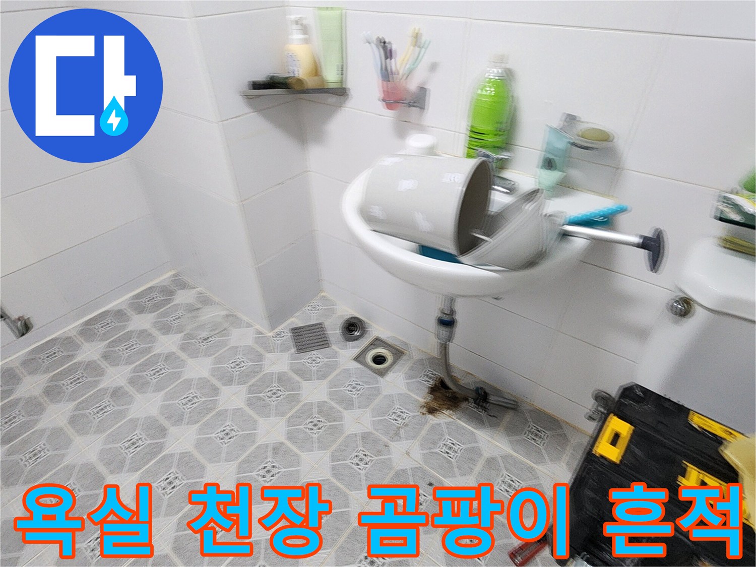 포천 군내면 욕실-천장 무늬 벽지 부분의 곰팡이와 습기 흔적