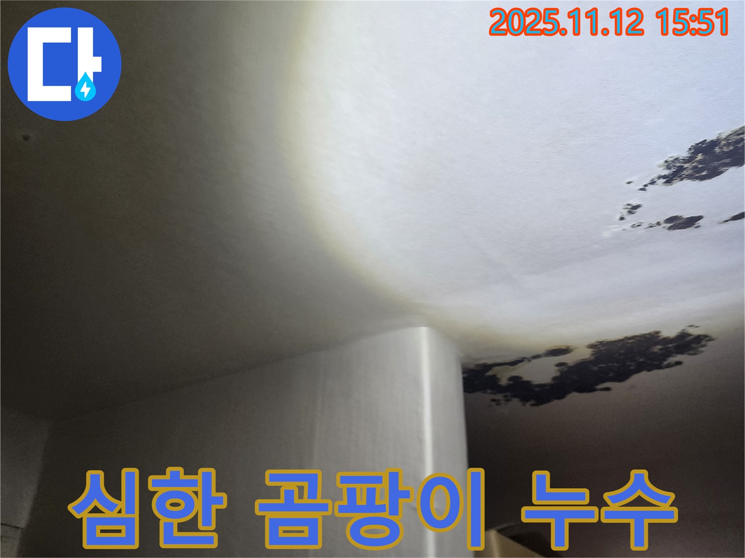포천시 군내면 - 곰팡이가 심하게 핀 천장 누수 - 건물 안전까지 위협하는 위태로운 상황입니다.