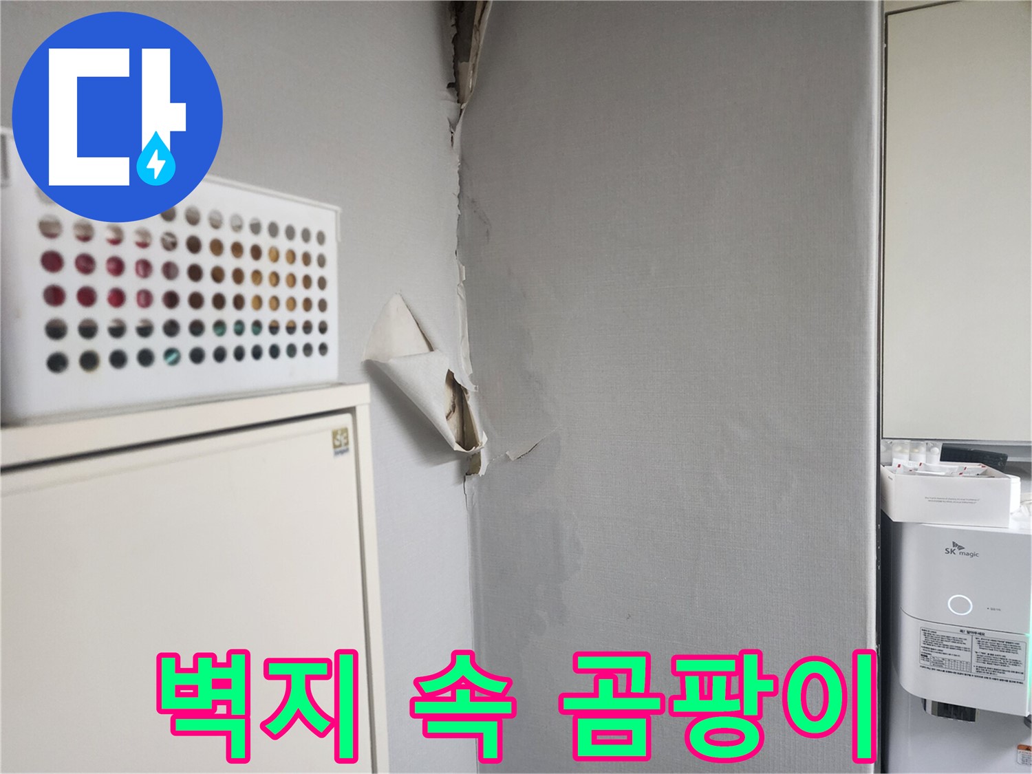 수원 권선구 두산동아 아파트 누수 - 벽지 속 곰팡이 심각 - 건강 위협
