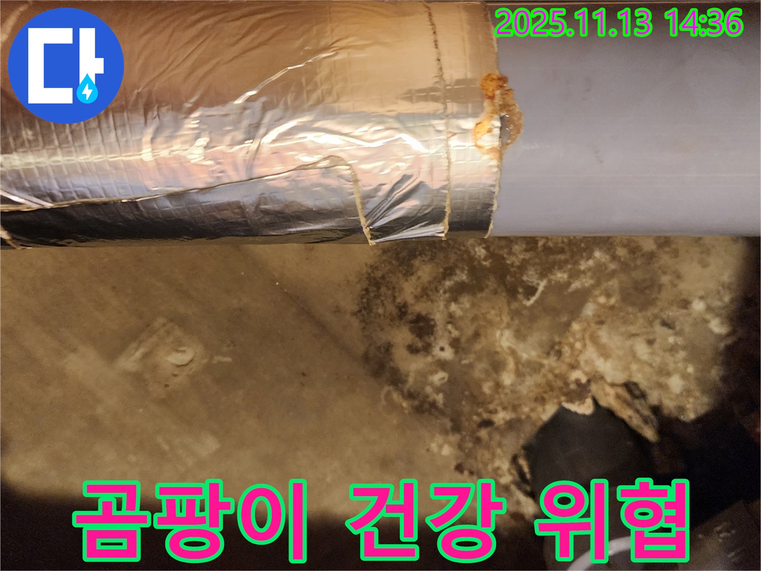 포천 유교리 누수 현장 - 누수 발생 지점 주변 곰팡이 발견