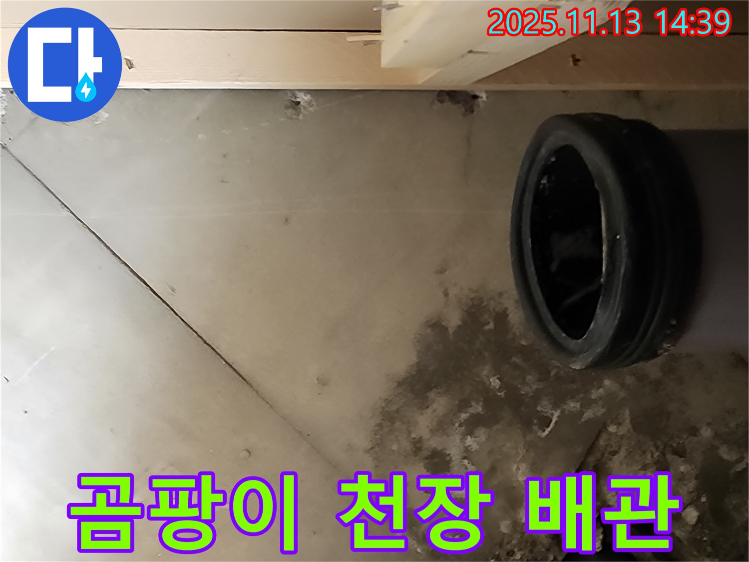 포천시 군내면 유교리 누수 - 곰팡이 핀 천장과 문제 배관