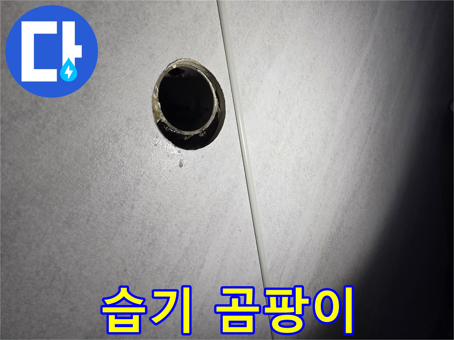 오류동 삼천리아파트 벽 하수구 - 습기로 인한 곰팡이