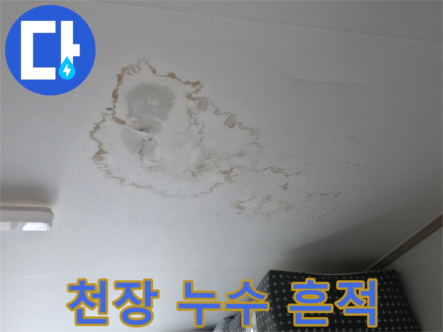 천장 누수 - 흔적 - 곰팡이