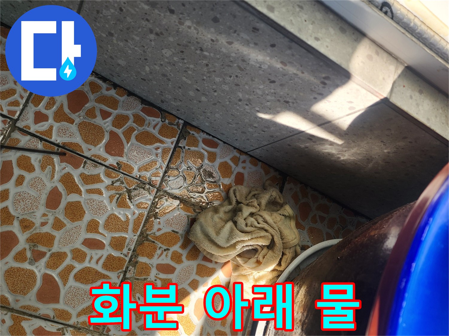화분 아래 물 발생 - 경기 광주 삼동 누수탐지 전문 업체에서 빠른 누수 진단을 진행하고 있습니다.