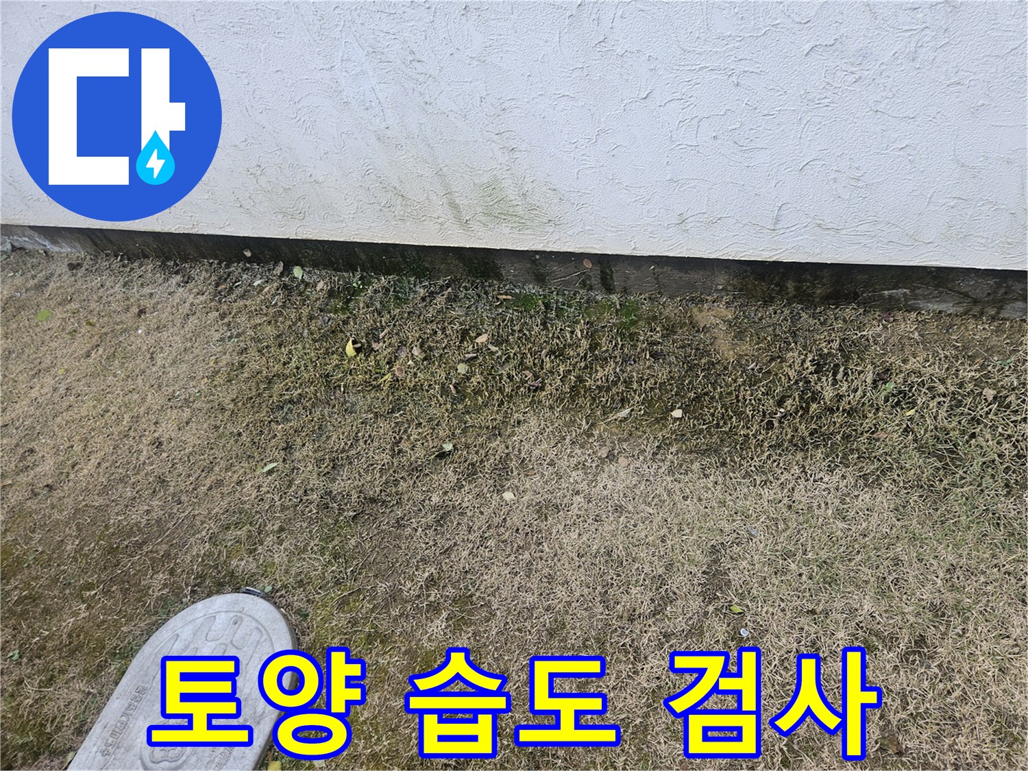 이천 대월면 누수 - 흙벽 주변 토양 습도 측정 및 누수 검사 진행