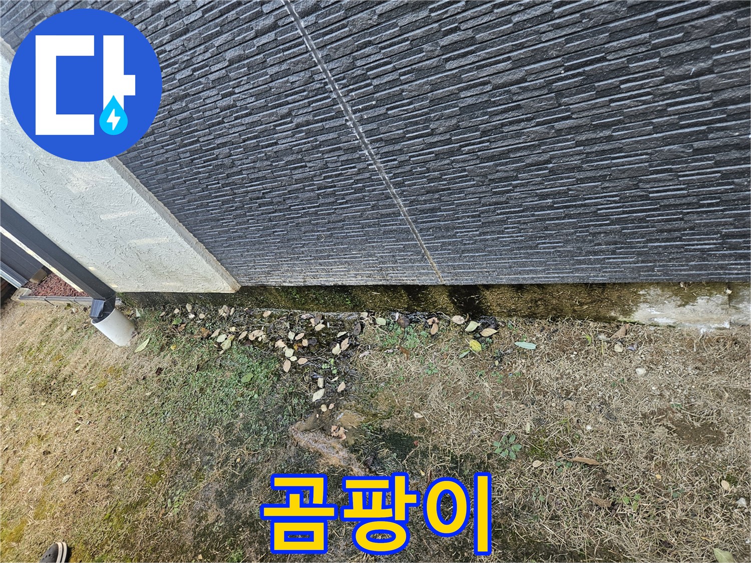 이천 마장 - 외벽 누수 - 습기로 인한 곰팡이 서식 - 건강 위협