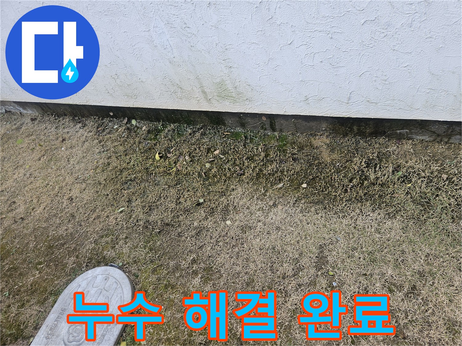 이천 모가면 누수 - 텃밭 누수 문제 완벽 해결 및 습기 제거 완료