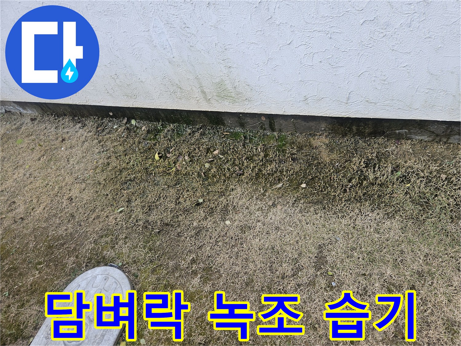 이천 설성면 누수 - 담벼락 하단 녹조 및 습기 문제