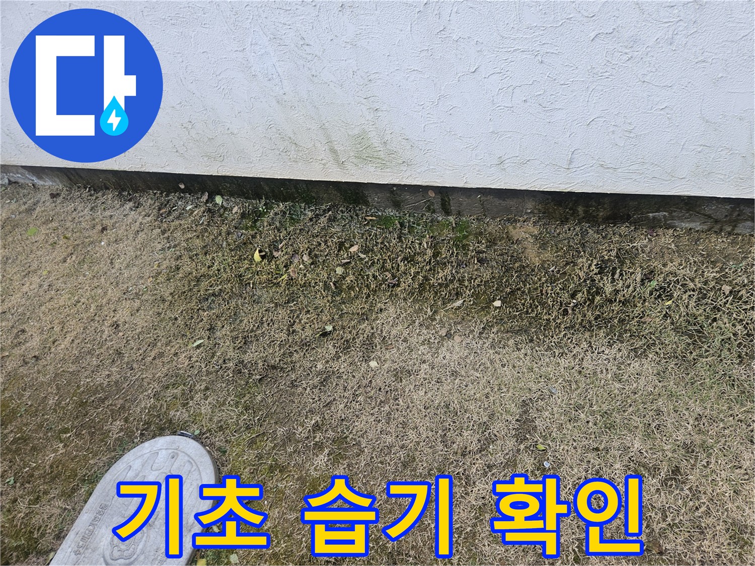 이천 아리역로 누수 - 건물 기초 부분 습기 및 누수 여부 꼼꼼 확인