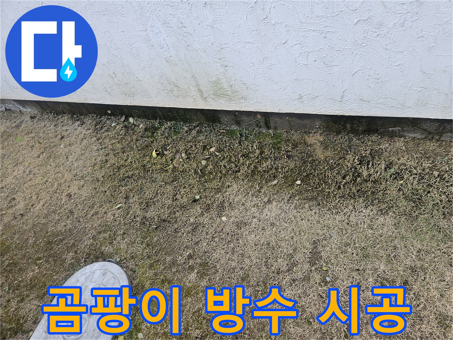 이천 아리역로 누수 - 곰팡이 제거 및 완벽 방수 시공 진행