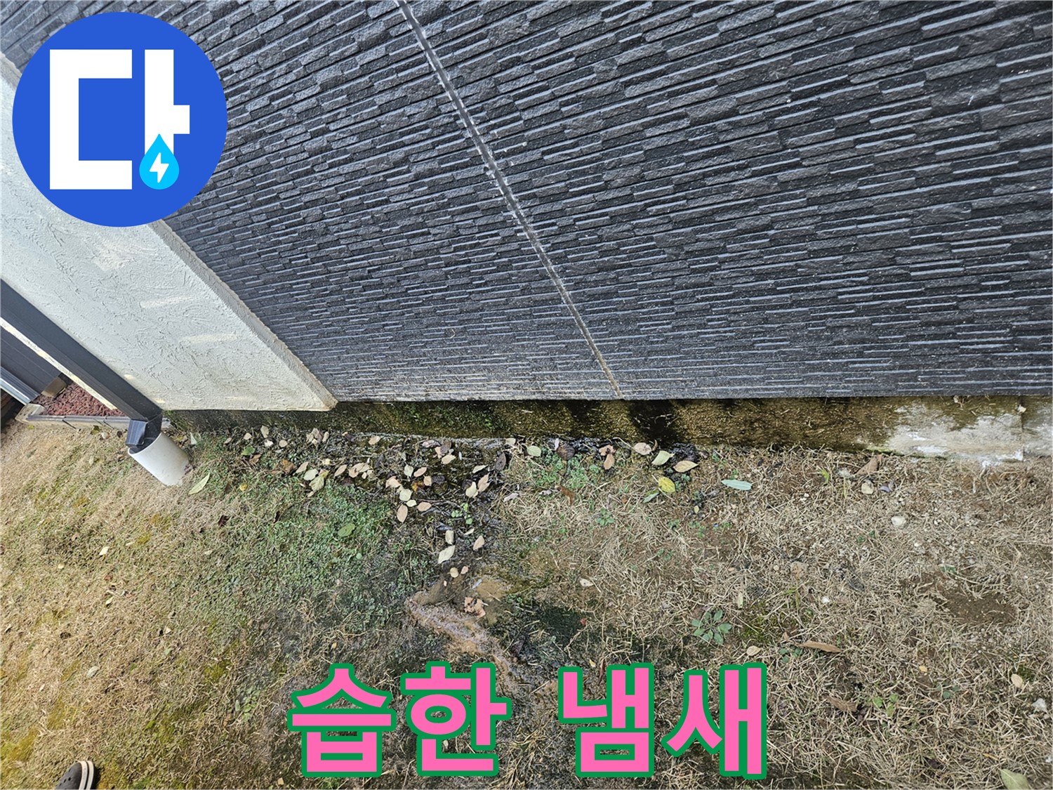 이천시 마장면 아리역로 주변 외벽 누수 위험 - 습한 냄새 - 쾌적한 환경 조성