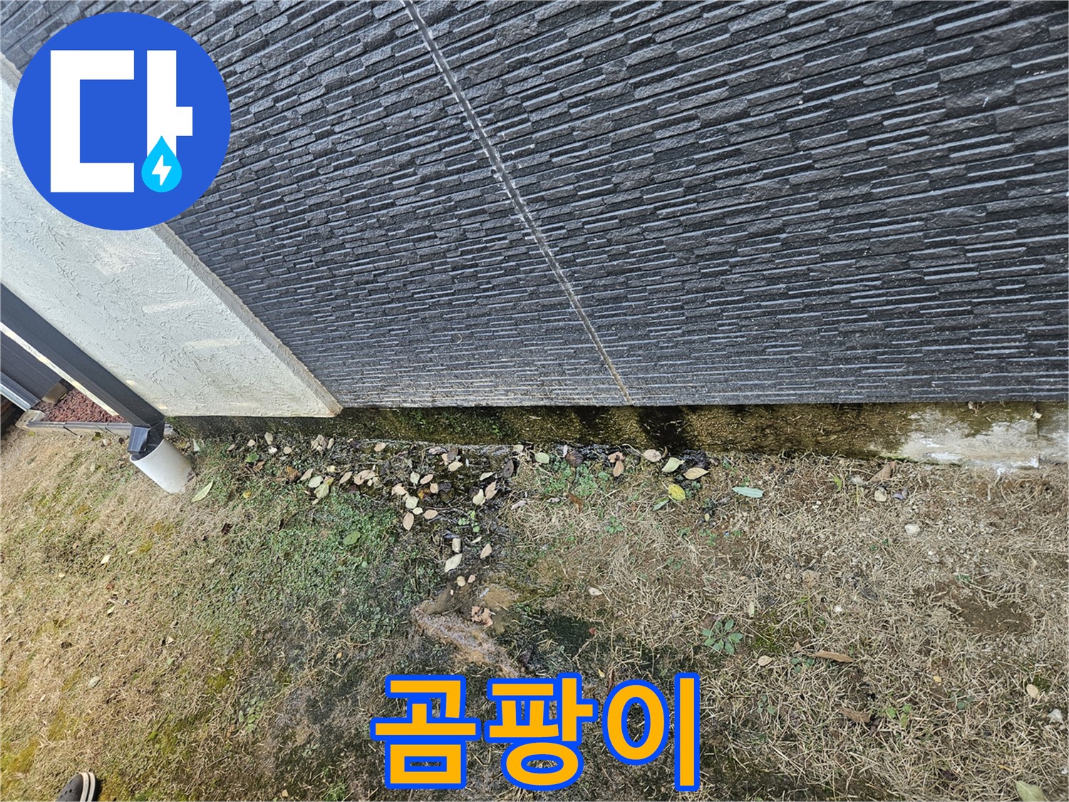 이천시 아리역로 근처 외벽 누수 - 곰팡이 발생 가능성 - 습도 관리 중요