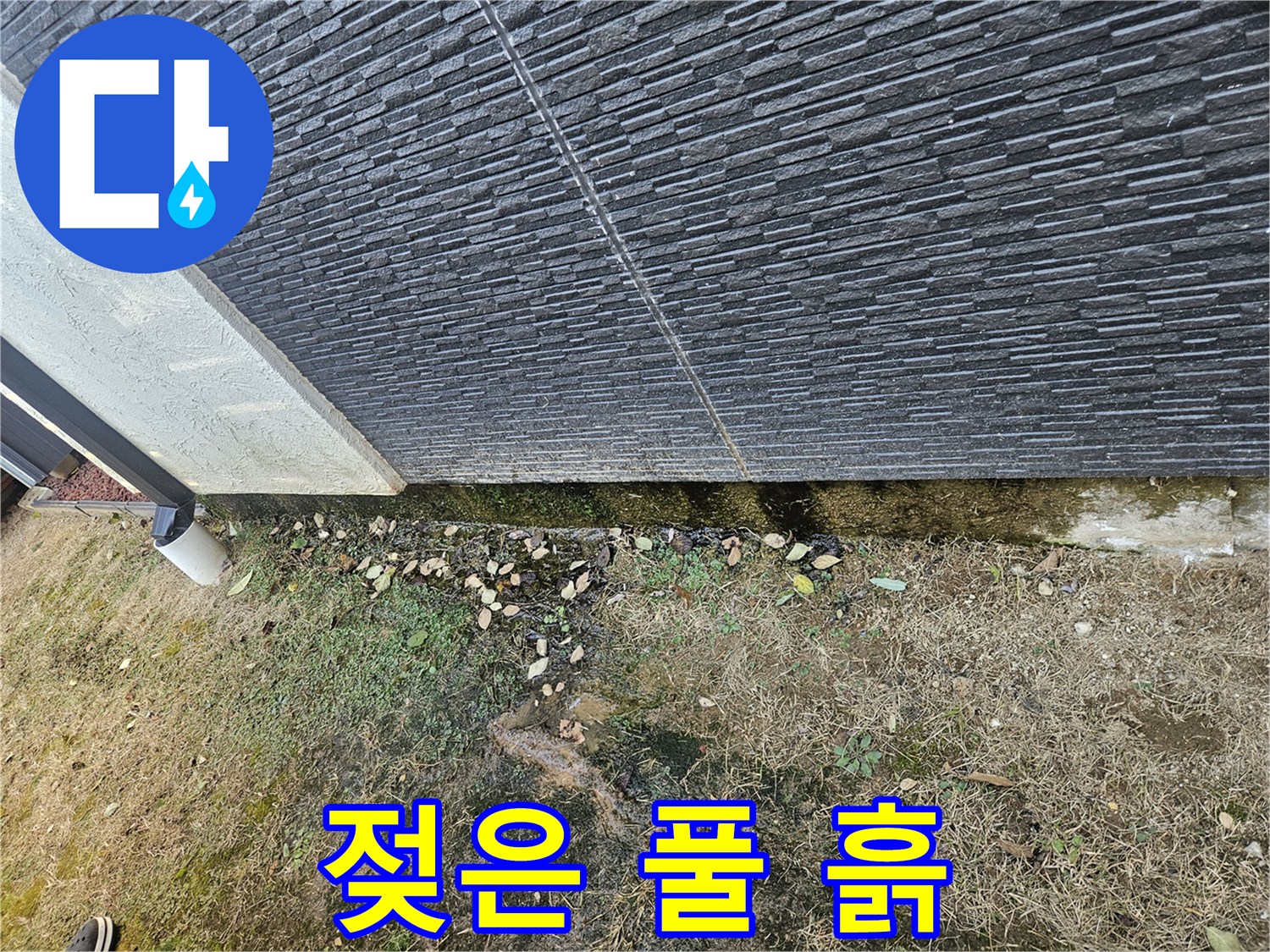 이천시 아리역로 외벽 누수 징후 - 젖은 풀과 흙 - 습도 관리 필요