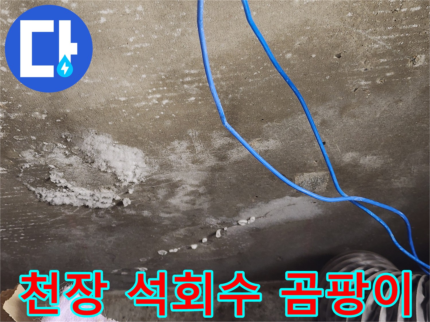 기흥구 콘크리트 천장 - 석회수와 곰팡이 - 완벽 해결
