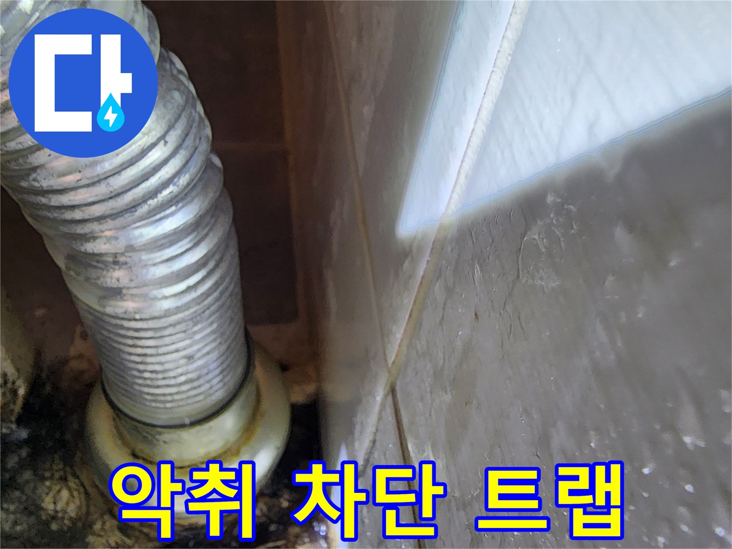 하수구 냄새 해결 - 악취 차단 트랩 설치 - 보정동 하수구 전문가