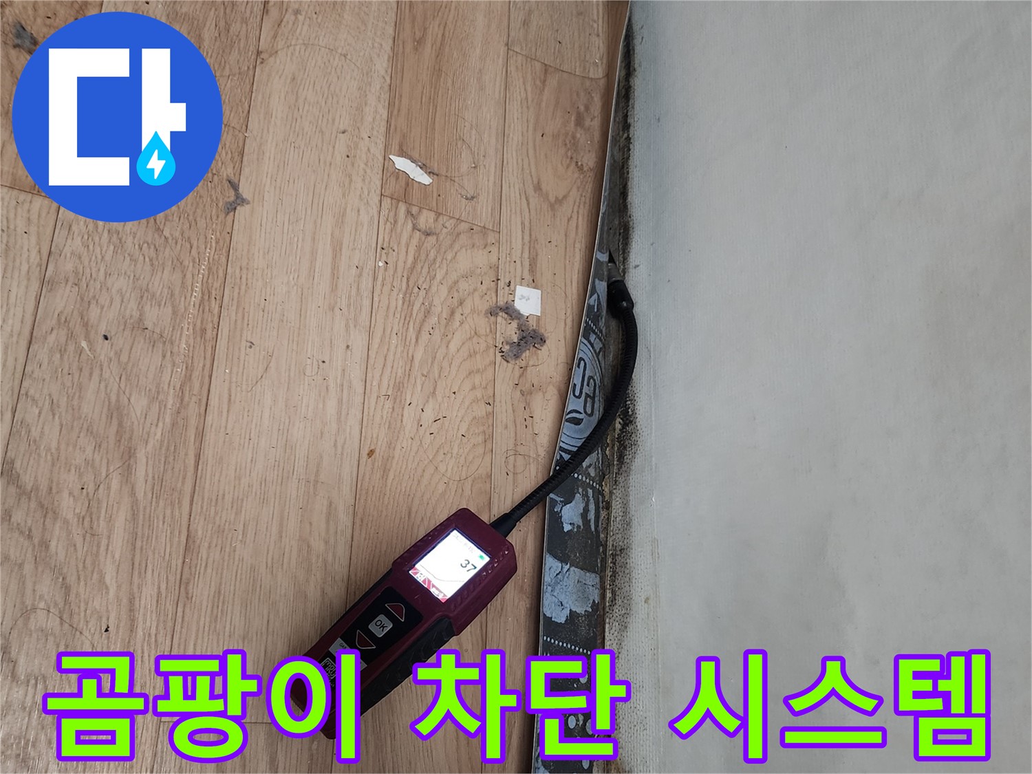수원 장안구 누수탐지 - 곰팡이 누수 습도 정밀 측정, 완벽 차단 시스템 구축