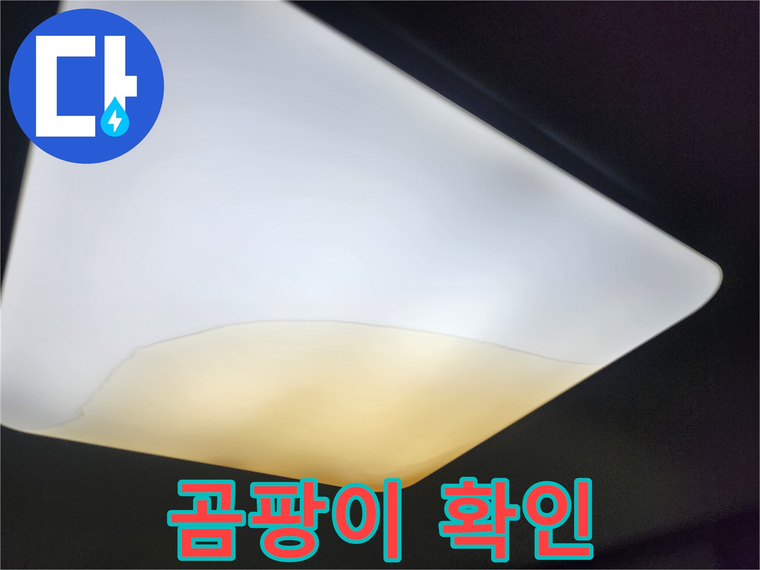 수원 장안구 대림빌라 천장 - 젖은 천장재 곰팡이 확인
