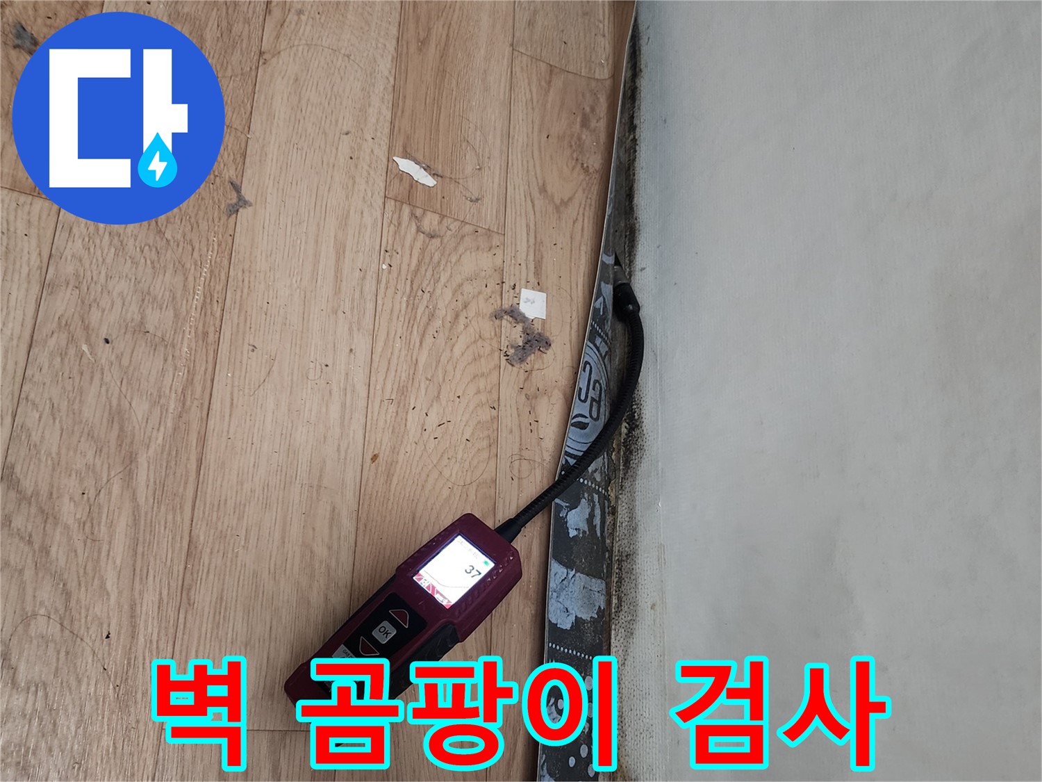 장안구 누수 - 벽 곰팡이 누수 검사, 곰팡이 완벽 차단