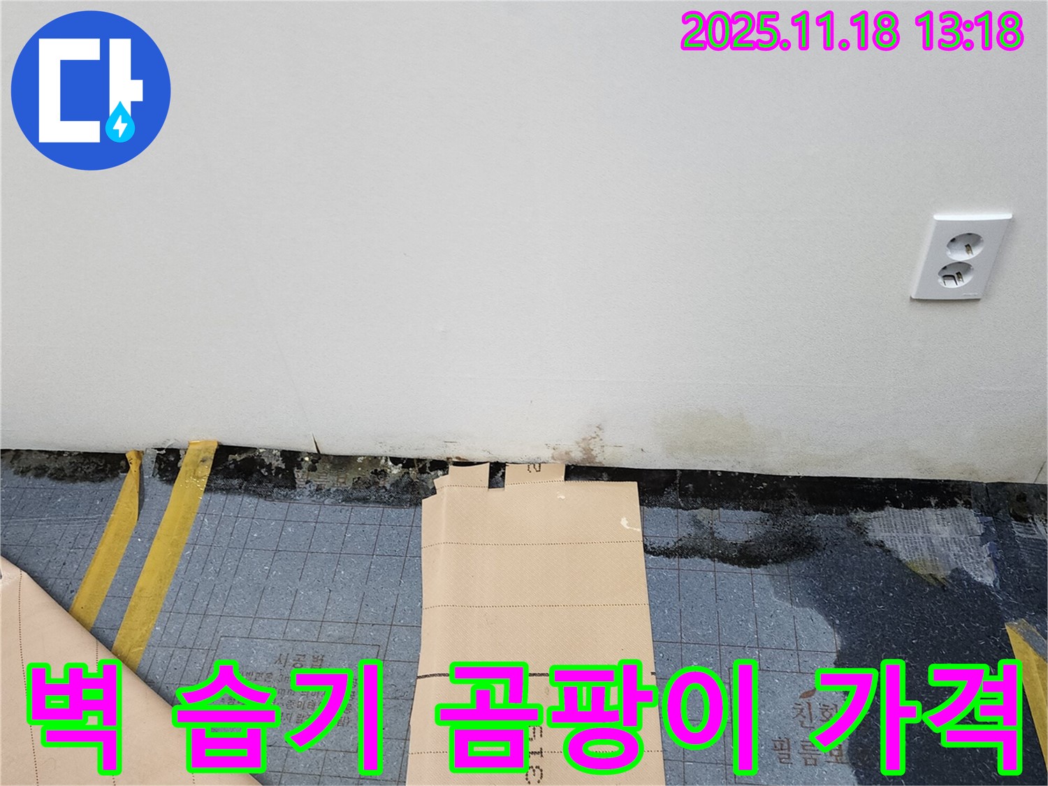 내촌면 벽면 하단 습기, 곰팡이 - 합리적인 가격으로 완벽 해결