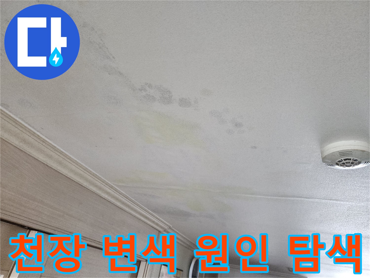 광명시 철산동 두산위브 103동 아파트 천장 변색 - 누수 원인 탐색 중