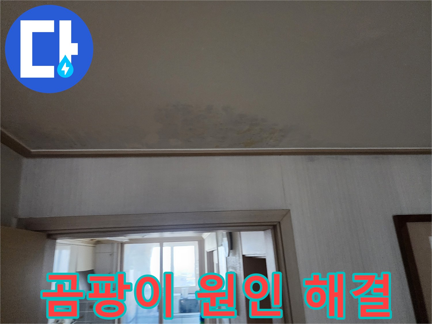 철산동 두산위브 아파트 천장 누수 및 곰팡이 원인 진단 및 해결 - 누수 전문가가 누수와 곰팡이 원인을 파악하고 해결합니다.