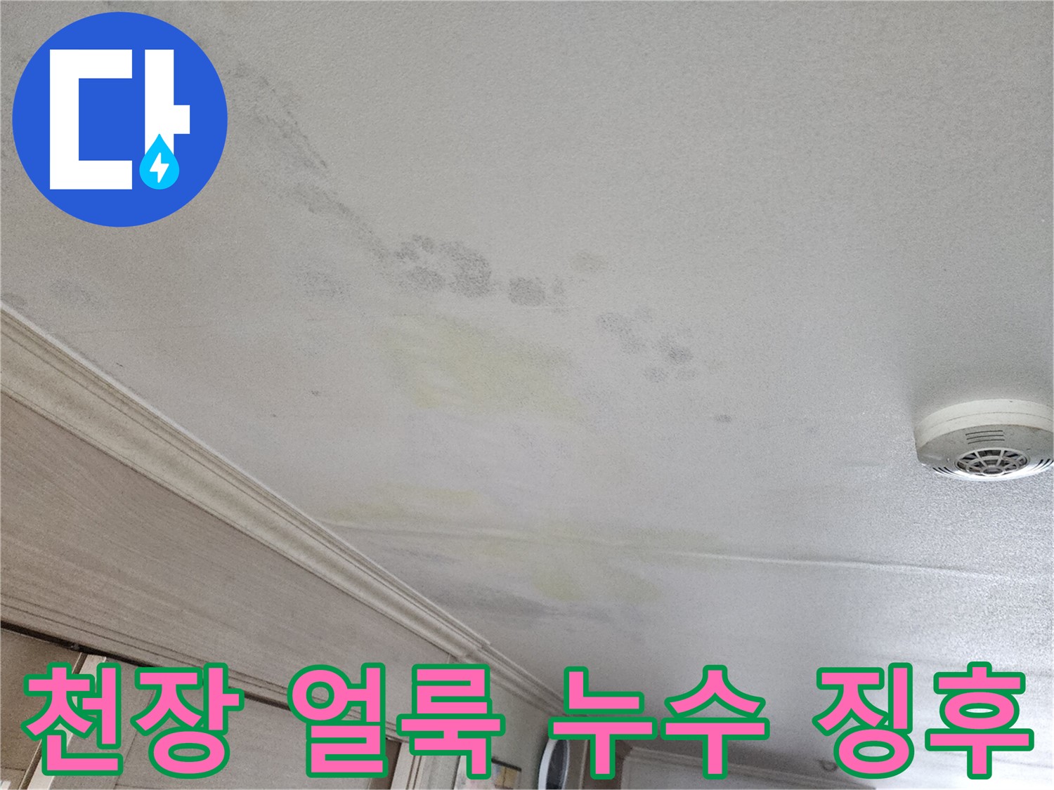 철산동 두산위브 아파트 천장 얼룩 - 누수 징후를 보이는 천장 상태
