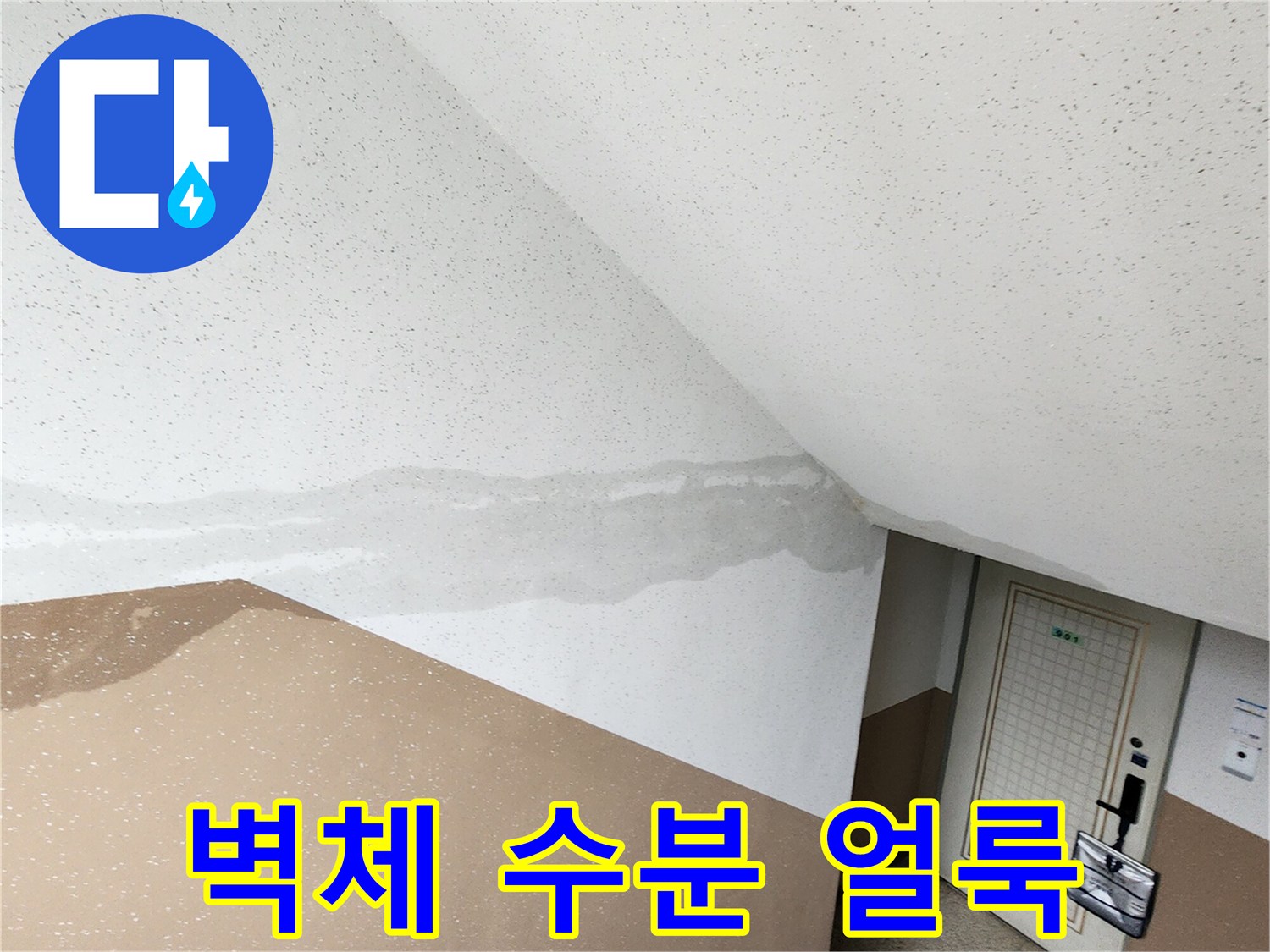 벽면을 따라 길게 나타난 수분 침윤 흔적