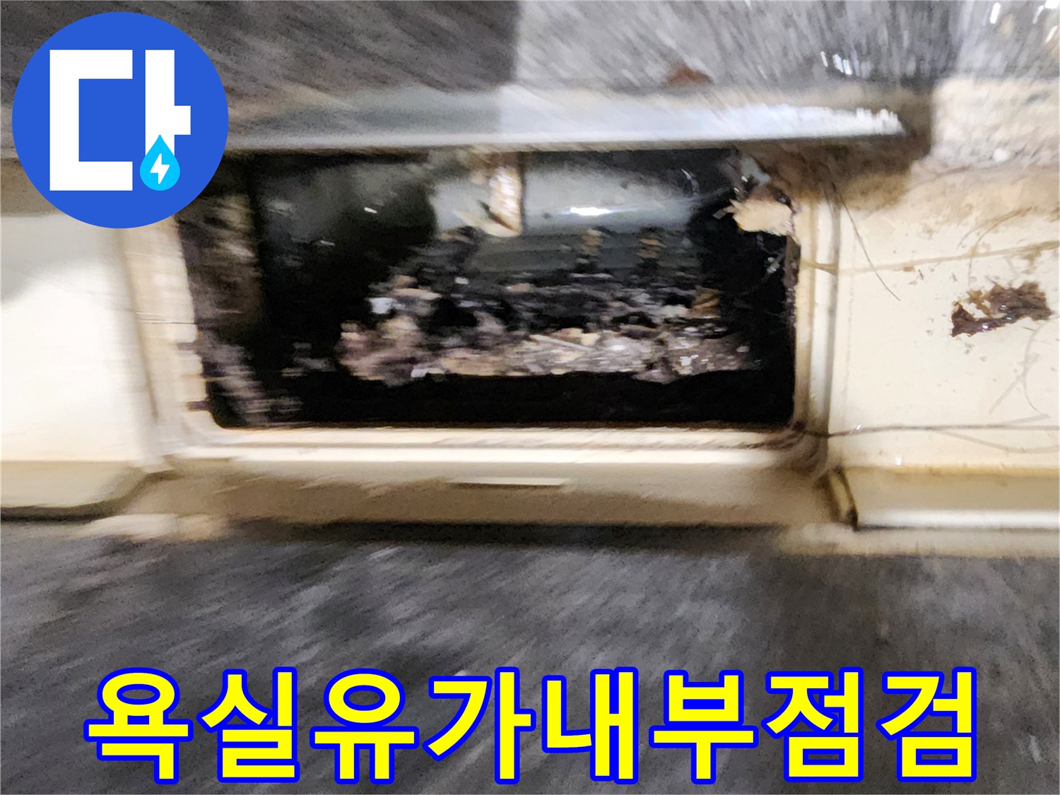 축축하게-젖어있는-욕실-배수구-내부와-쌓여있는-이물질