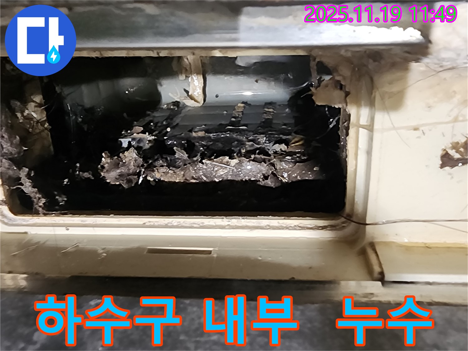 포천 내촌 마명리에서 누수 원인으로 지목된 하수구 내부의 충격적인 오염 상태