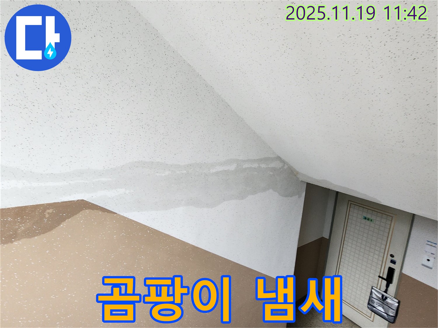 포천 내촌면 마명리 건물 - 계단 벽 누수, 곰팡이 냄새 진동 - 건강 위협
