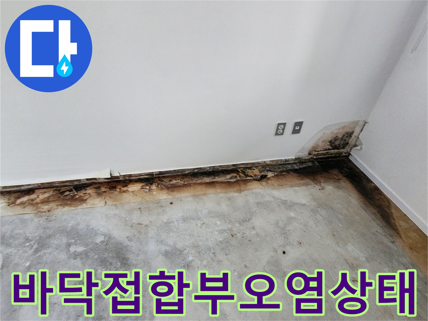바닥재와 벽면 사이의 심한 변색과 오염된 부위