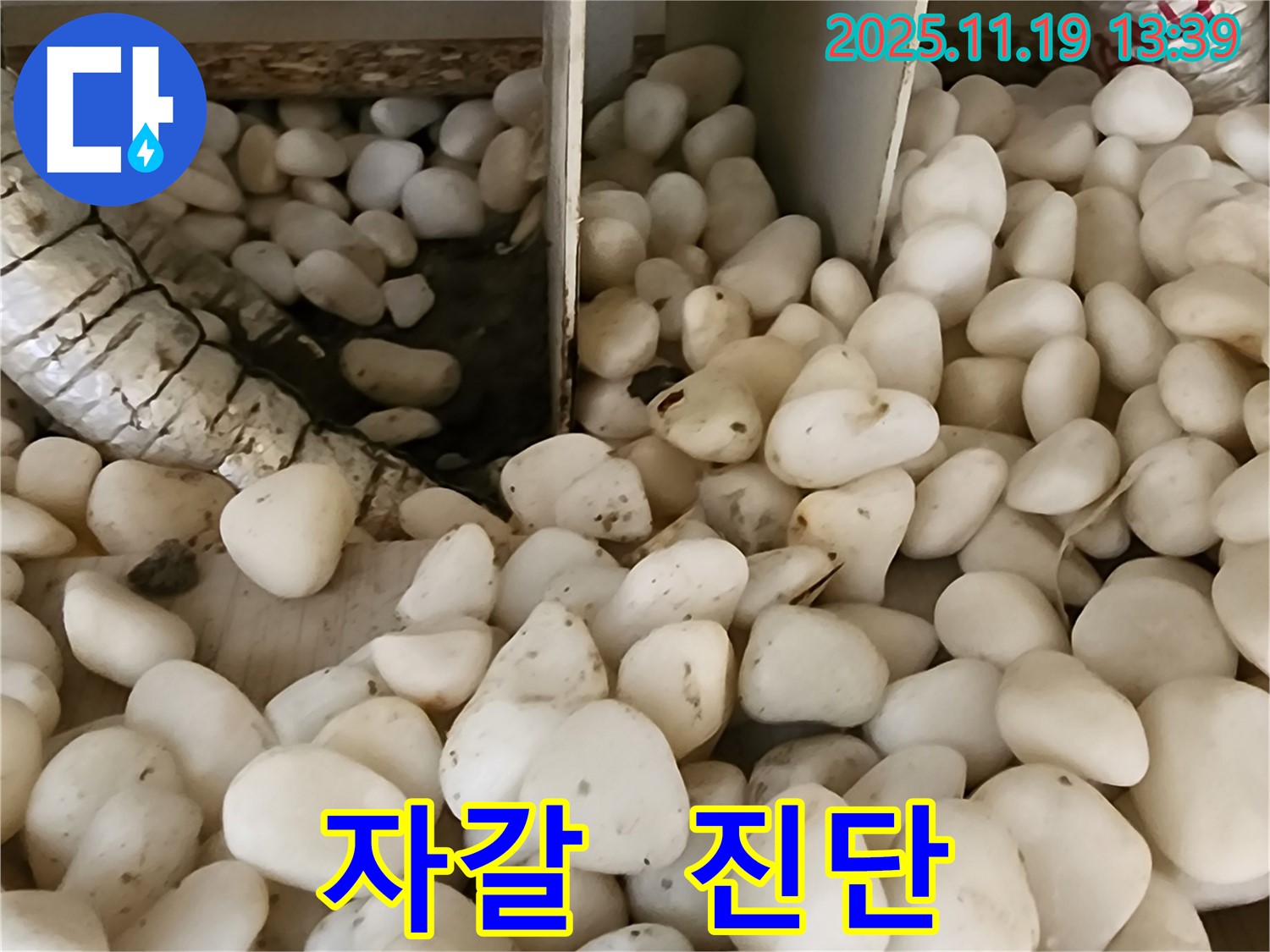 포천 내촌 누수 - 자갈 속에 숨어있던 누수 원인, 꼼꼼하게 진단하고 해결합니다.