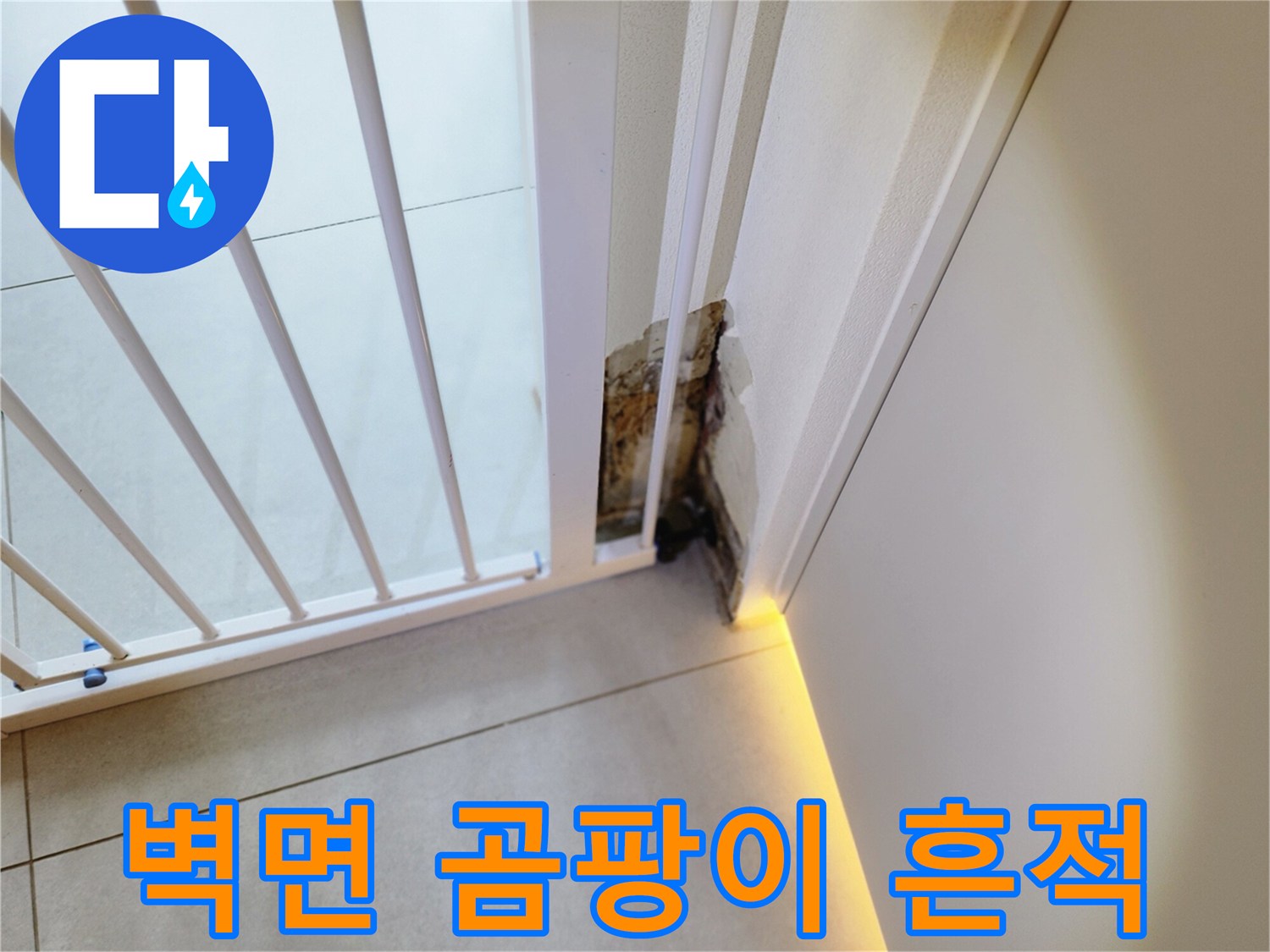 포천 내촌면 현장-벽면 하단에 발생한 곰팡이와 변색 부위