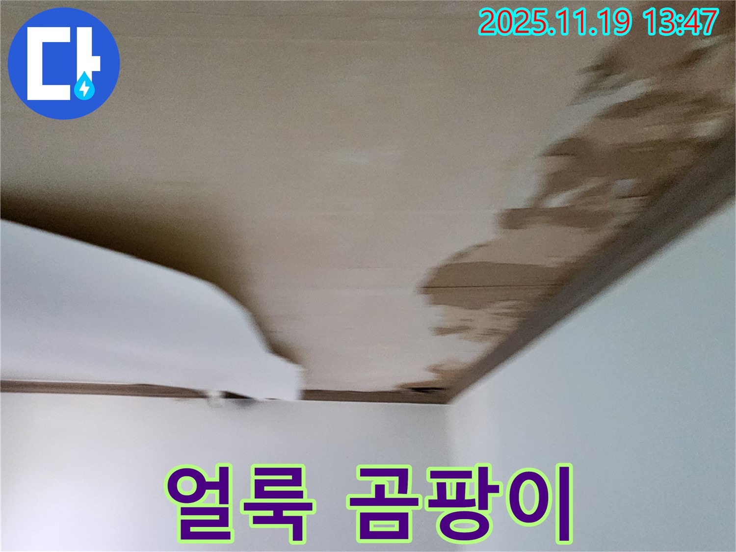 포천시 내촌면 내리 천장 - 심한 얼룩과 곰팡이 발생