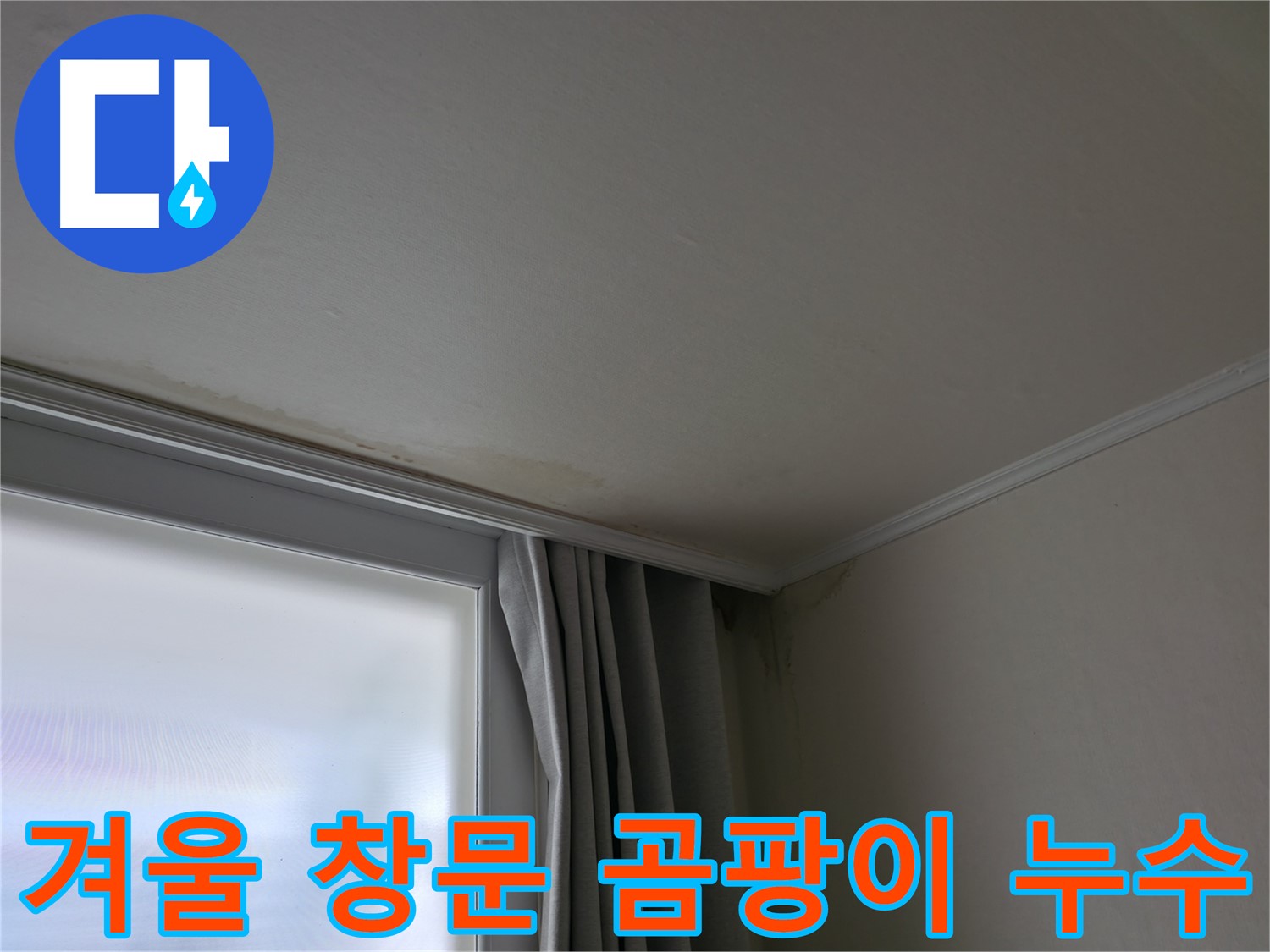겨울철 창문 곰팡이 - 누수 해결 전문 업체