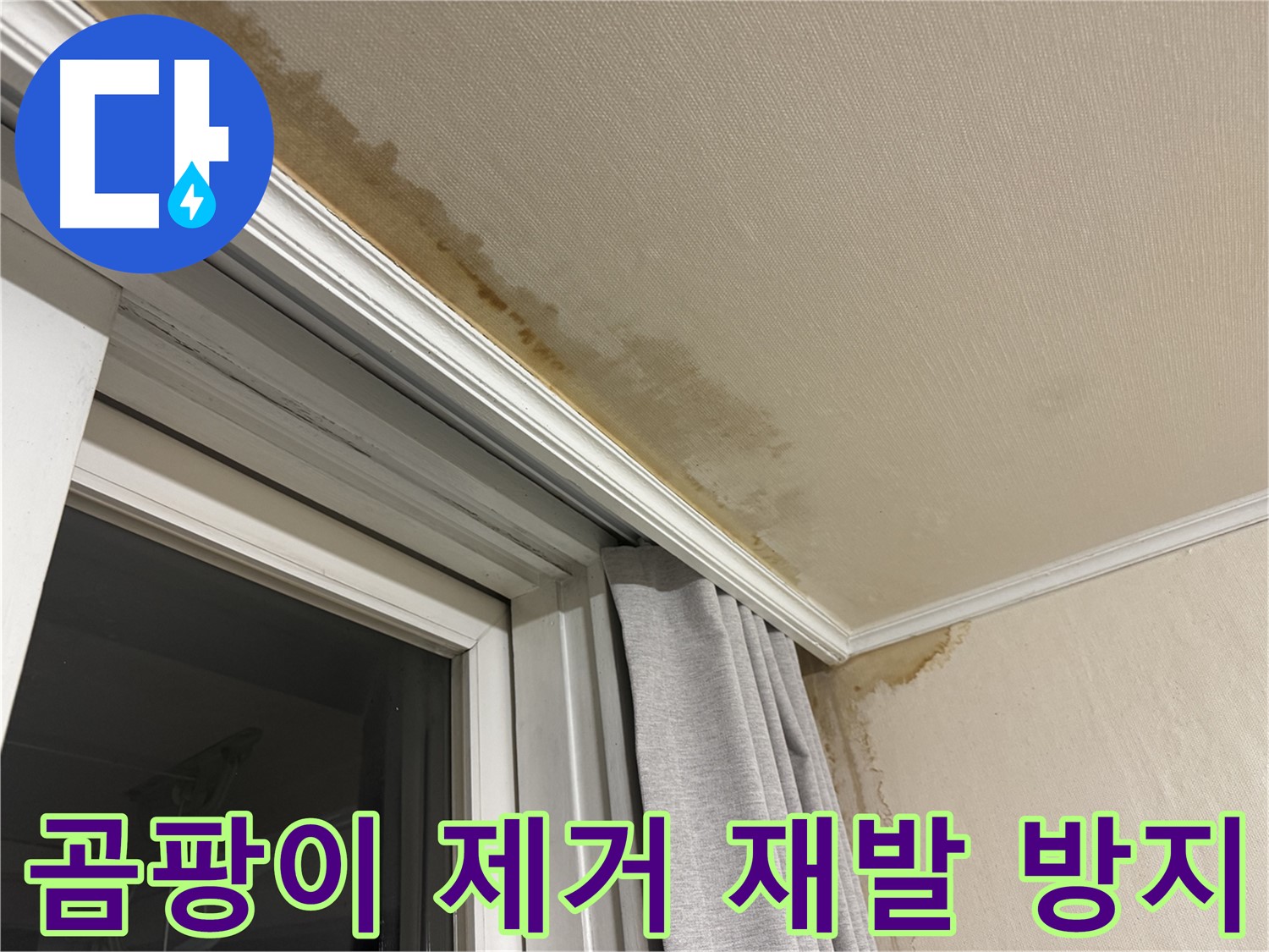 서대문구 세검정 창문 주변 천장 곰팡이 - 완벽 제거 및 재발 방지 시공 이미지입니다.