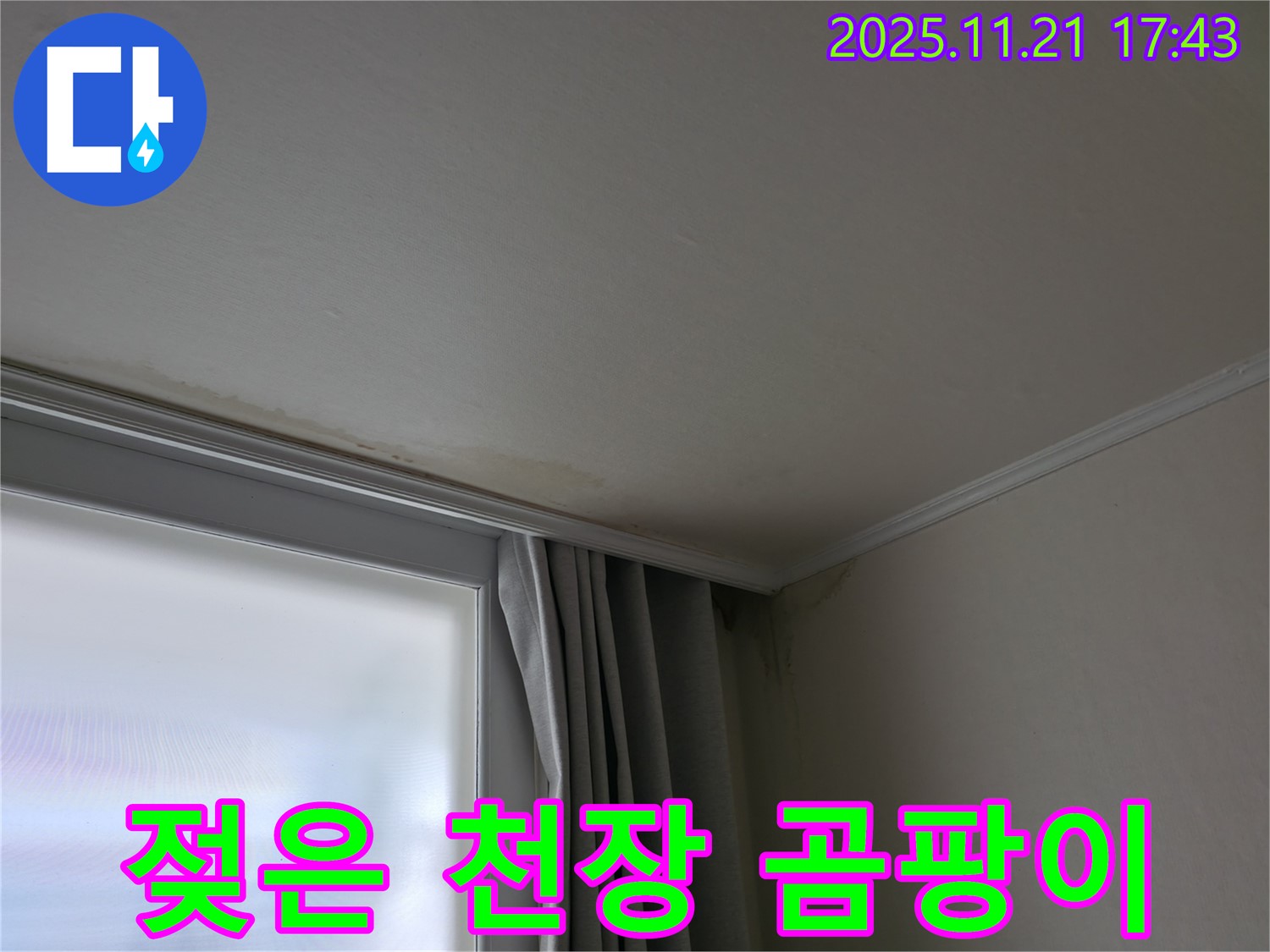 서대문구 젖은 천장 - 곰팡이 냄새 - 건강 적신호 - 긴급 점검