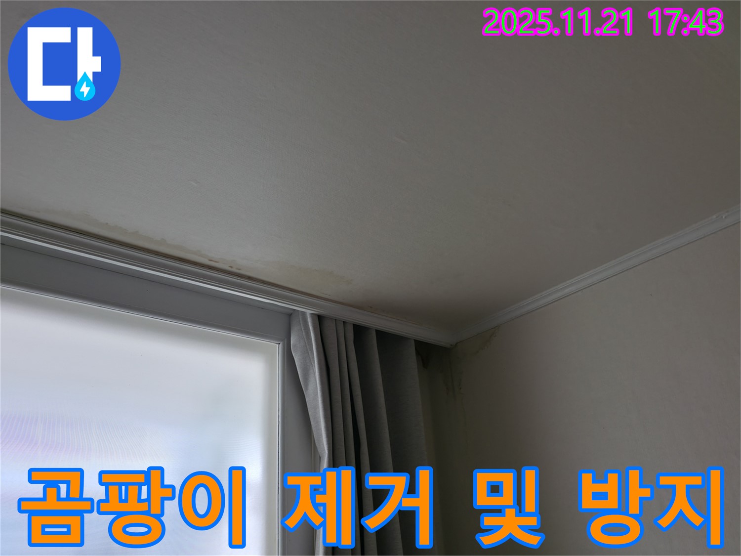서대문구 창틀 누수 - 곰팡이 - 완벽 제거 및 재발 방지