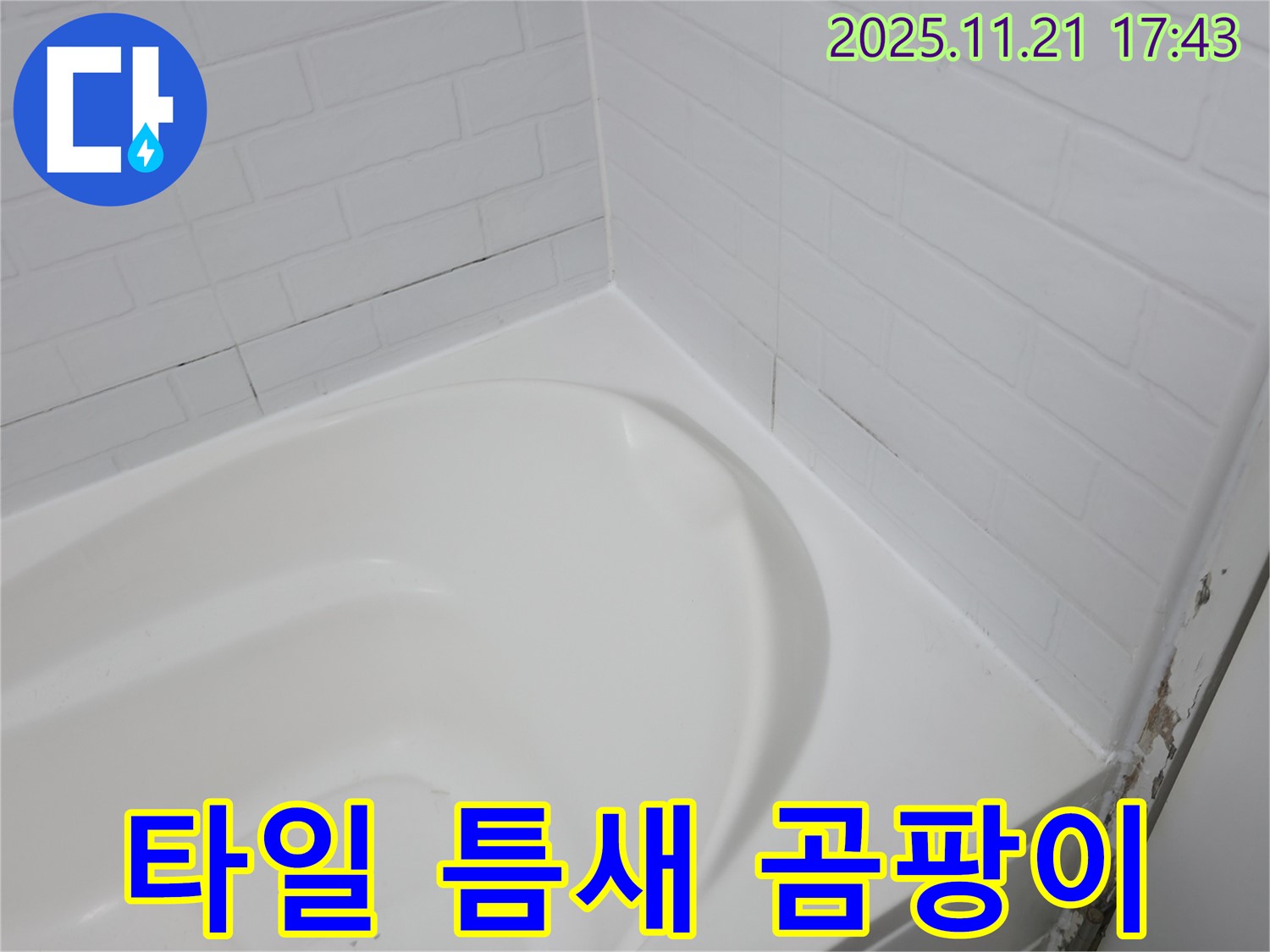 세검정 욕조 - 타일 틈새 검은 곰팡이 - 누수 신호