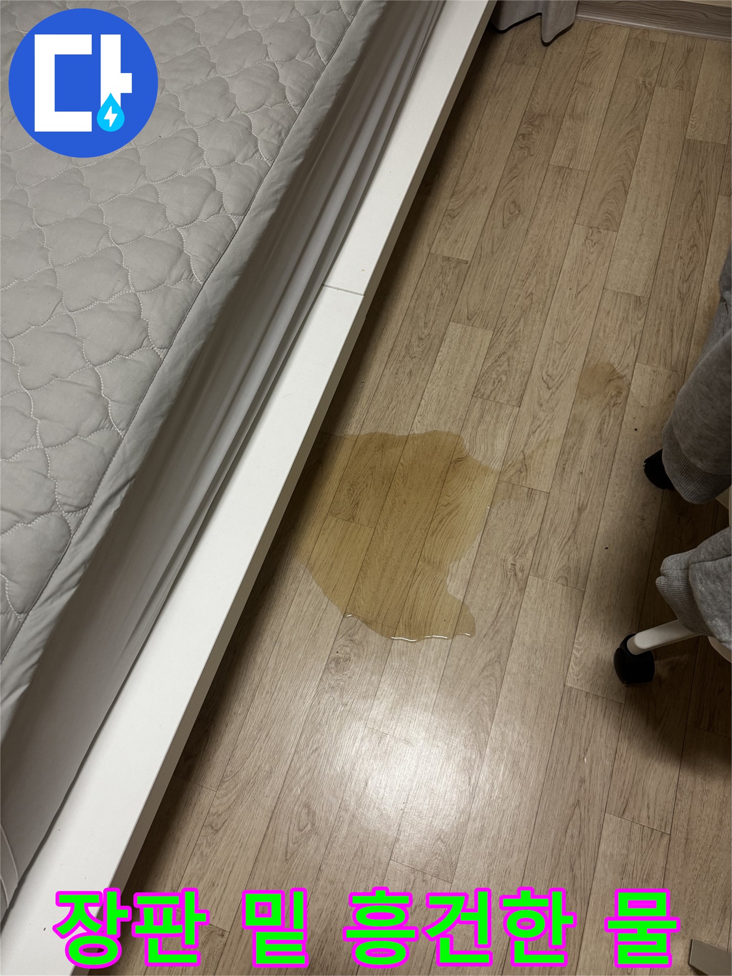 장판 아래 물이 흥건한 모습 - 곰팡이 발생 위험이 높습니다.