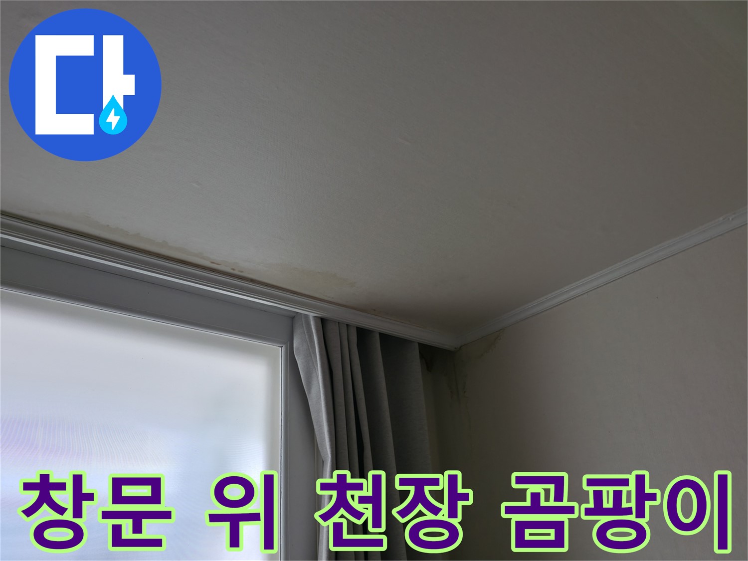 창문 위 천장 곰팡이 - 건강에 미치는 영향은 무엇일까요?