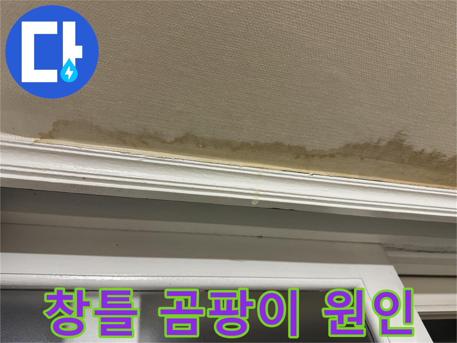 창틀 주변의 곰팡이 - 누수로 인한 곰팡이 발생을 보여주며, 건강에 미치는 영향과 해결의 중요성을 강조합니다.