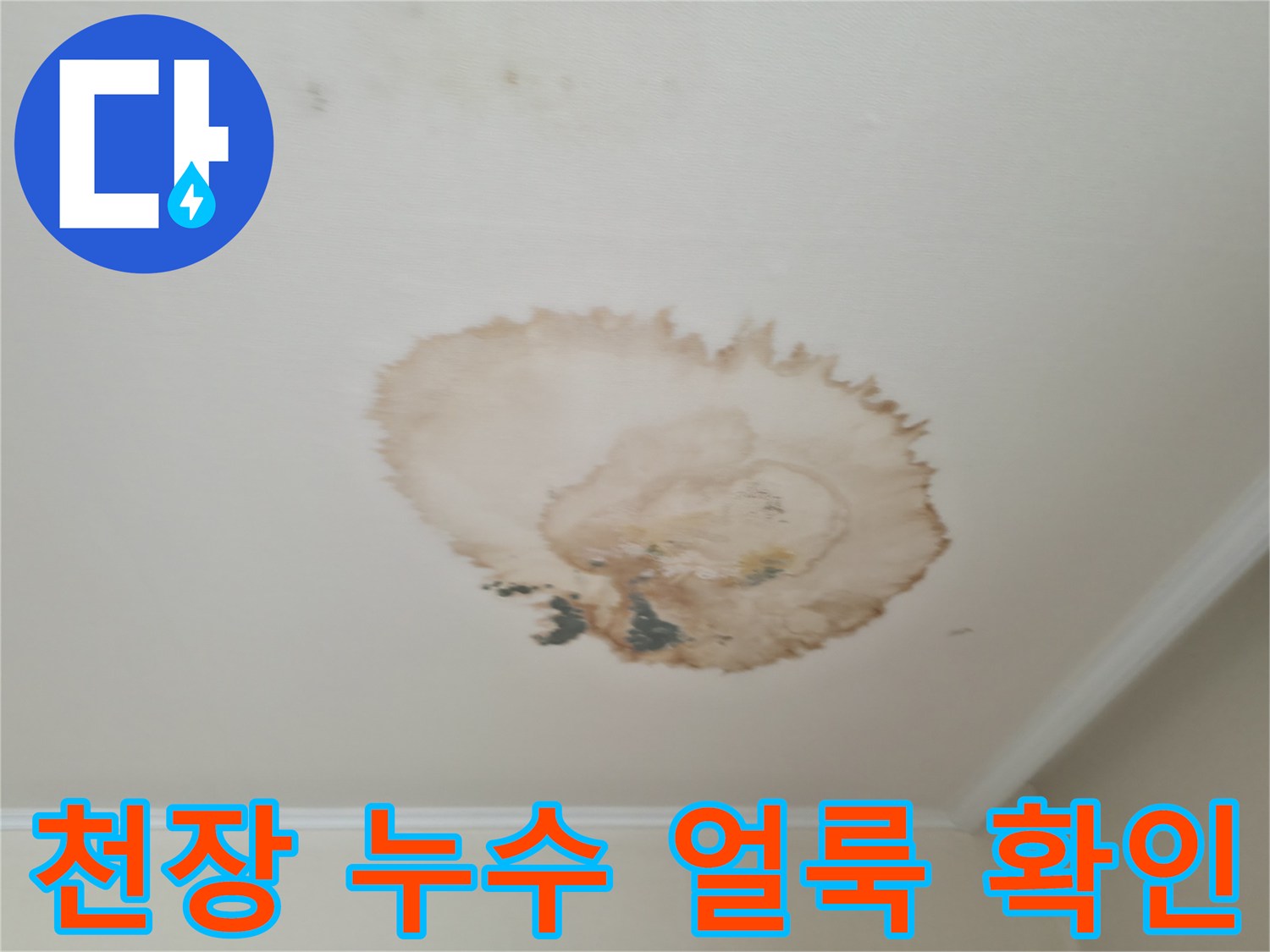 천장 누수 얼룩 - 변색된 천장 - 누수 탐지 및 보수 전문가