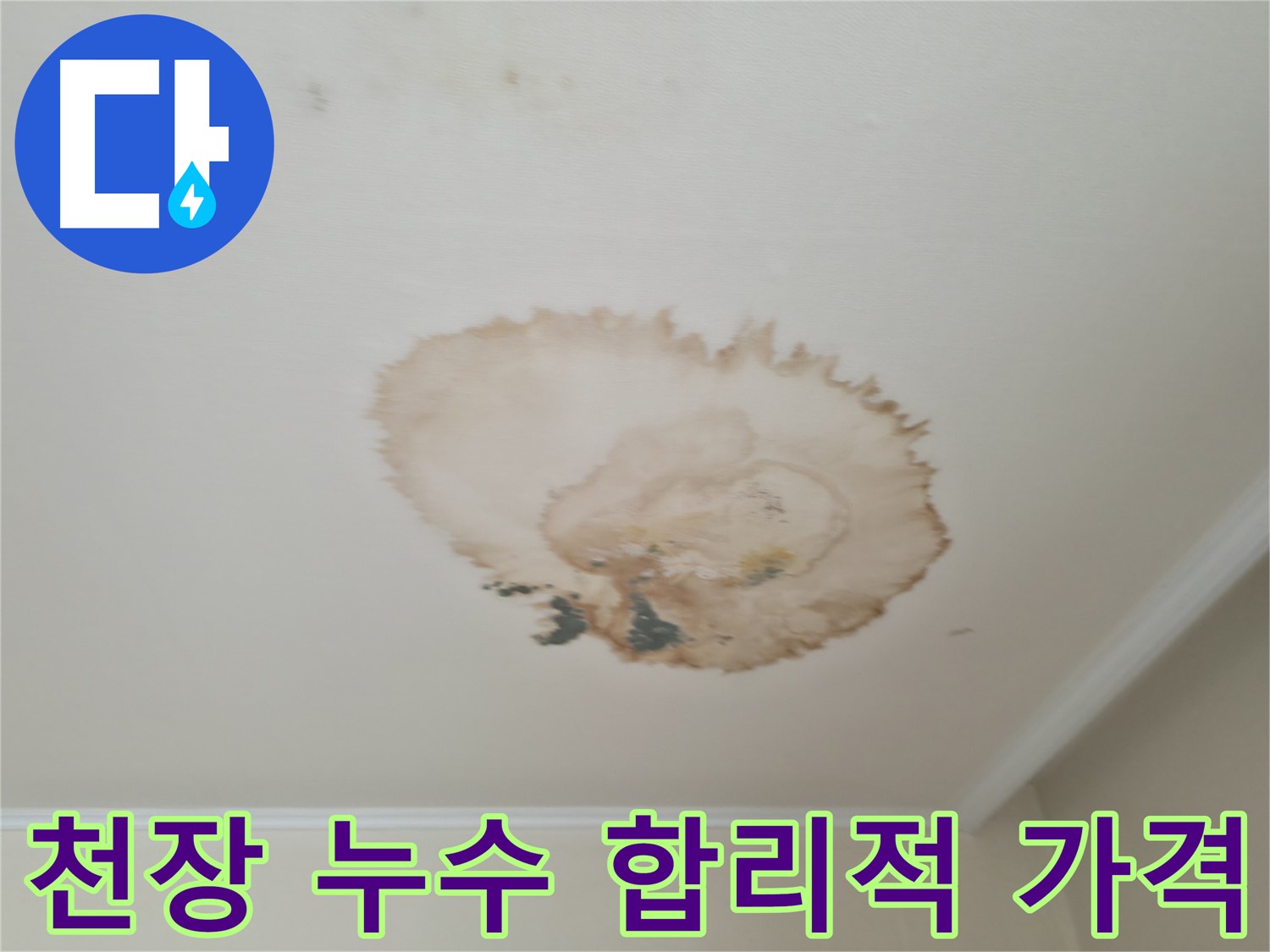 천장 누수 - 합리적인 가격 - 투명하고 정직한 견적