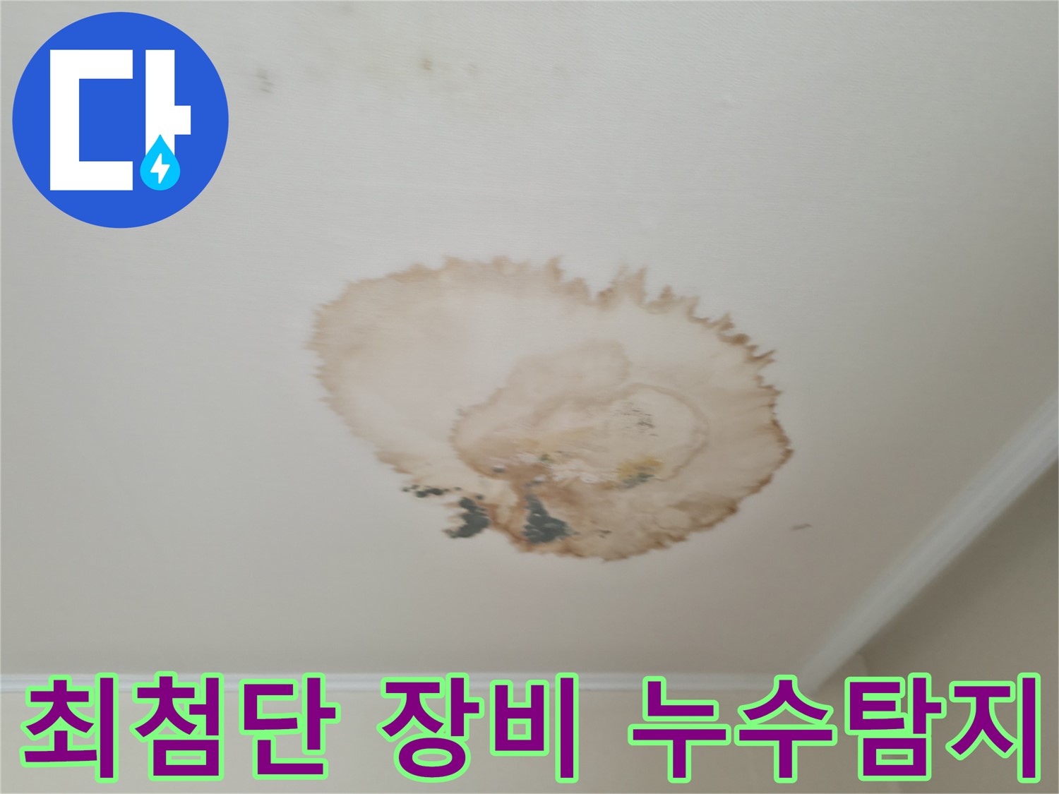 최첨단 장비 - 정확한 누수 위치 탐지 - 서대문구 세검정로