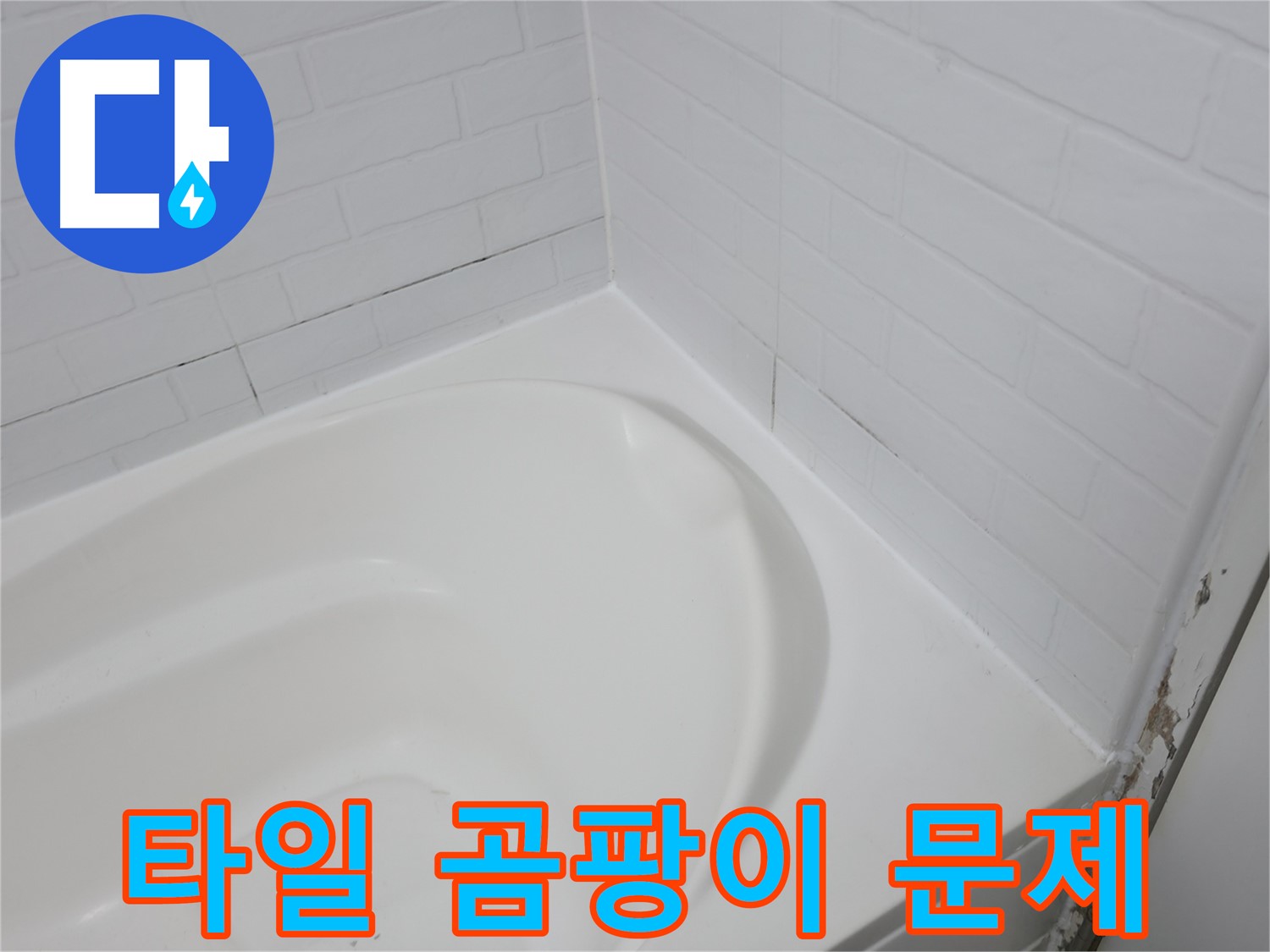 타일 곰팡이 - 습기와 누수의 합작품입니다.