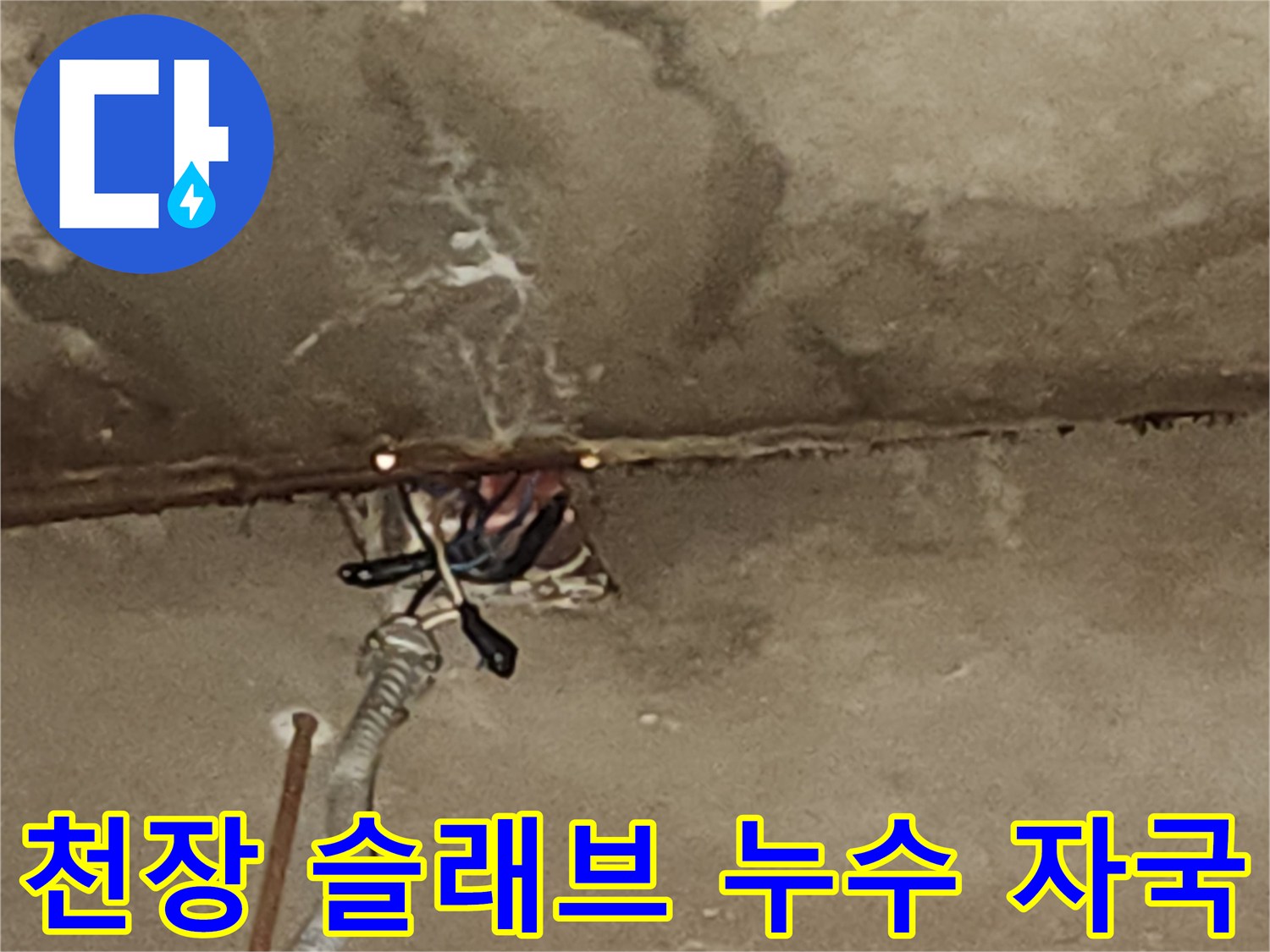균열 사이로 배어 나온-콘크리트 습기 및 얼룩
