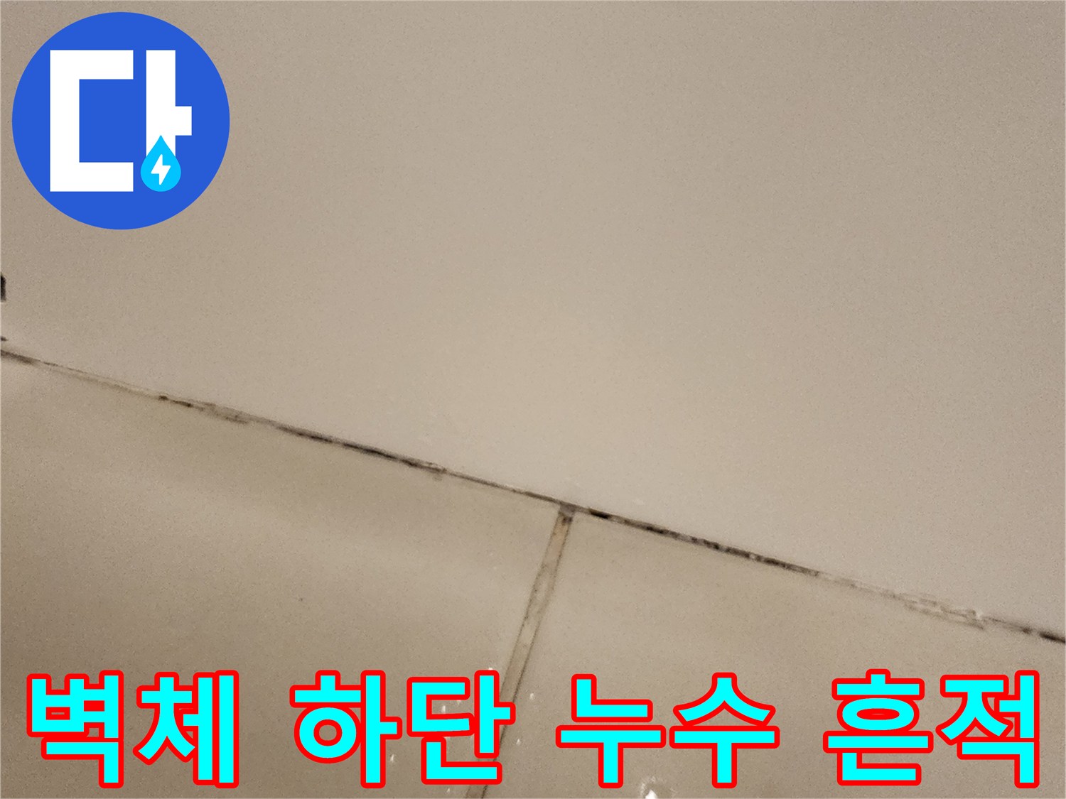 벽면 하단 타일 틈새에 물기가 스며든 모습입니다.